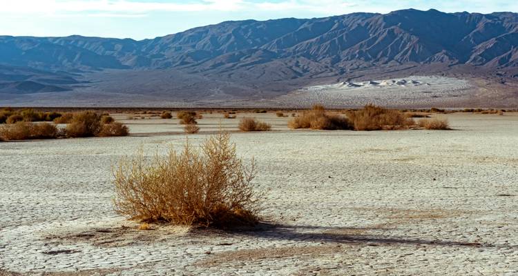 Droge, zoute woestijnvlakte met scheuren, struiken en een imposant berglandschap op de achtergrond (Death Valley).