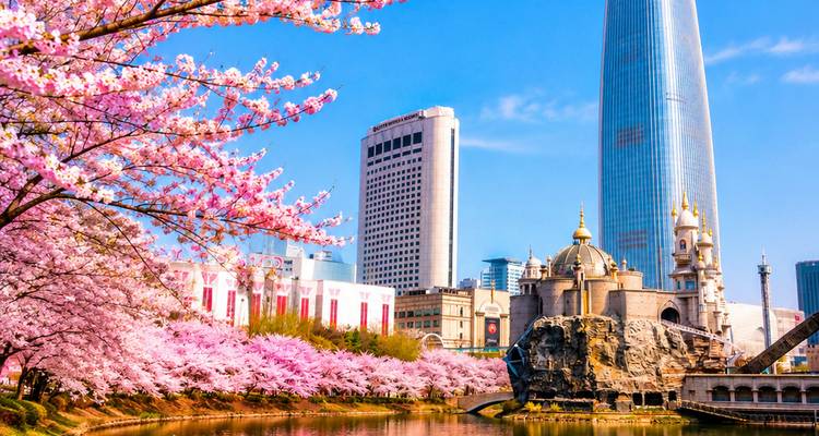 Un rascacielos moderno se eleva detrás de flores de cerezo rosa que rodean un tranquilo lago urbano.