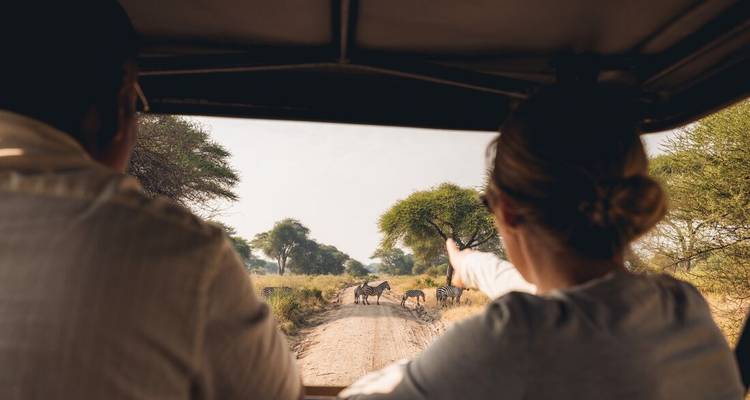 À partir d'un véhicule de safari, deux voyageurs observent des zèbres traversant une piste poussiéreuse de la savane.