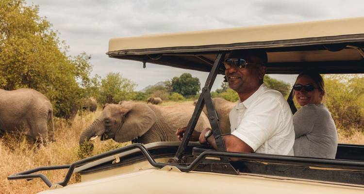Les passagers souriants d'un safari observent des éléphants qui paissent à côté de leur véhicule aux côtés ouverts.