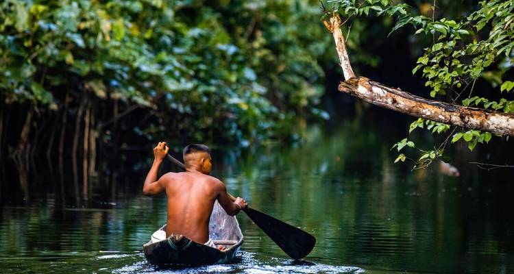 Un canoísta sin camisa rema en una estrecha barca de madera por un exuberante canal del río amazónico.