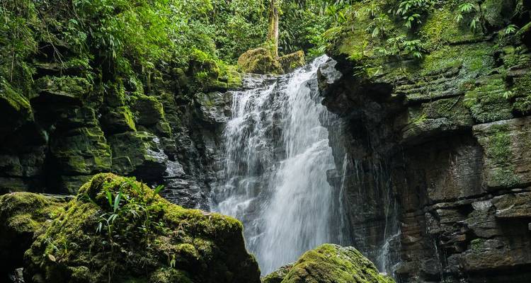El agua cae sobre rocas cubiertas de musgo en un denso entorno de selva tropical ecuatoriana.