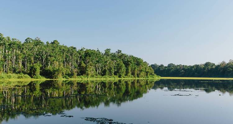 Rivière calme et contemplative bordée par une forêt tropicale dense sous un ciel bleu clair.