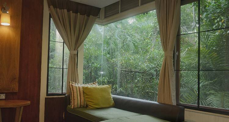 Chambre confortable du lodge avec lit de jour et fenêtres panoramiques donnant sur la luxuriante végétation de la jungle.