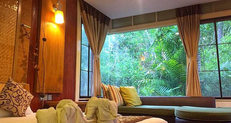 Chambre accueillante du lodge avec de grandes fenêtres donnant sur une végétation tropicale luxuriante.