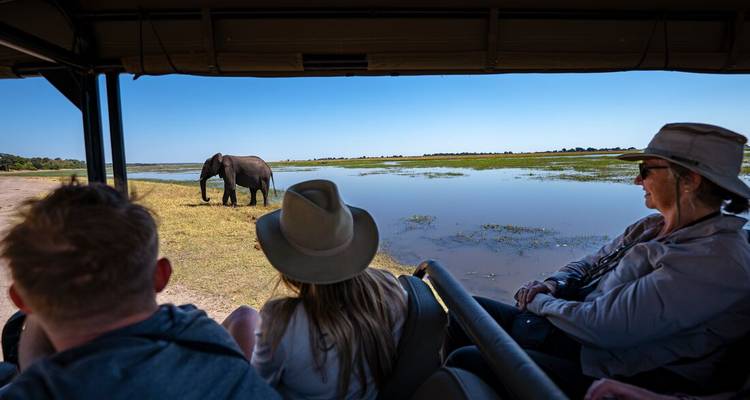 Les clients en safari à bord d'un véhicule observent un éléphant qui broute à côté d'une plaine remplie d'eau.