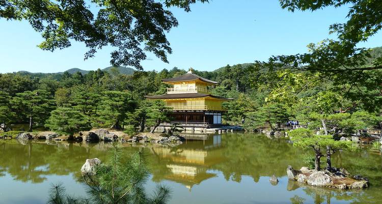 Gouden Paviljoen (Kinkaku-ji) dat zich weerspiegelt in een rustig vijvertje omgeven door weelderig groen in Kyoto.