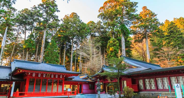 Bosshrine-complex met levendige rode gebouwen verscholen tussen hoge cederbomen in Hakone.