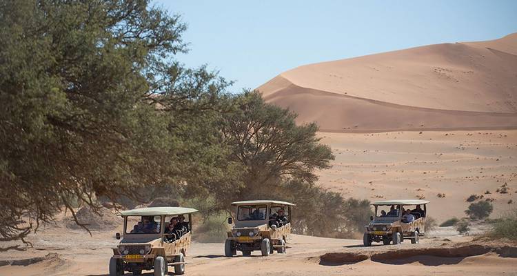 Open-sided safarijeepes die door zandige paden rijden omgeven door hoge woestijnduinen.