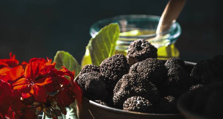 Photographie rapprochée nature morte de truffes noires fraîches avec fleurs rouges et huile d'olive en lumière douce.
