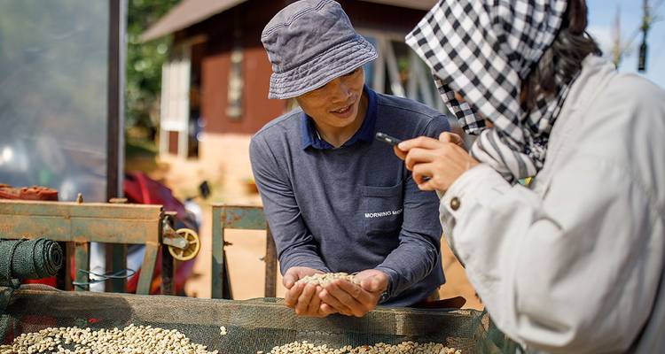 Un agriculteur local montre une poignée de grains de café tandis qu'un visiteur les examine de près