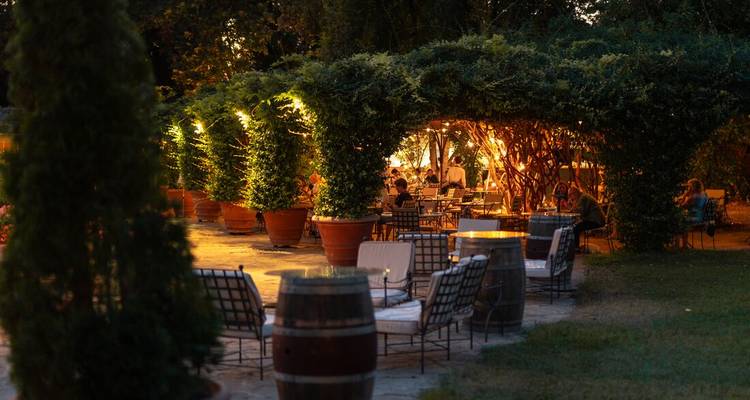 Un restaurant de jardin atmosphérique brille sous des arcades recouvertes de vignes tandis que les clients savourent un repas en soirée.
