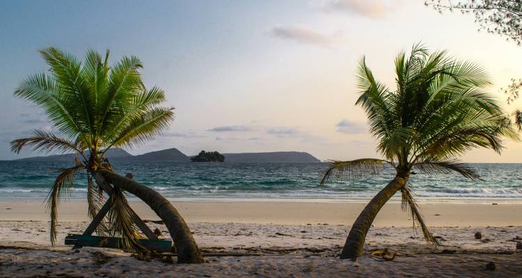 Twee scheve palmbomen omzomen een rustig tropisch strand bij schemering met zachte golven.