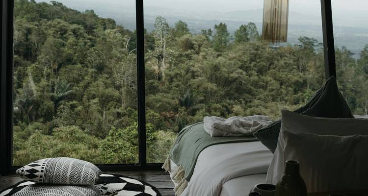 Chambre d'hôtel élégante avec des baies vitrées du sol au plafond donnant sur une forêt tropicale dense