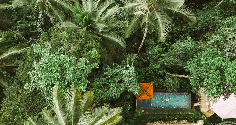 Vue aérienne de dessus d'une villa de jungle avec une petite piscine où une personne nage au milieu de palmiers luxuriants