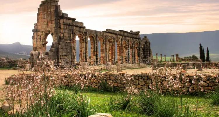 Verwoeste Romeinse bogen van Volubilis te midden van wilde bloemen tegen een wazige bergachtergrond