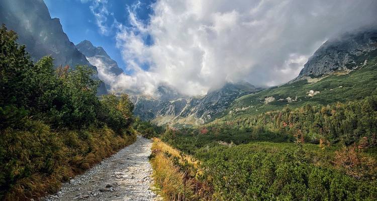 Sendero de las Montañas Rocosas que lleva hacia los picos brumosos de los Altos Tatras bajo nubes arremolinadas.
