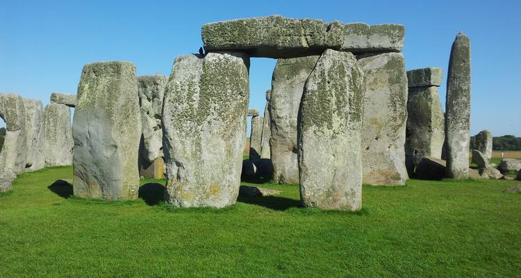 Vue rapprochée des mégalithes de Stonehenge sous un ciel bleu dégagé sur l'herbe verte.