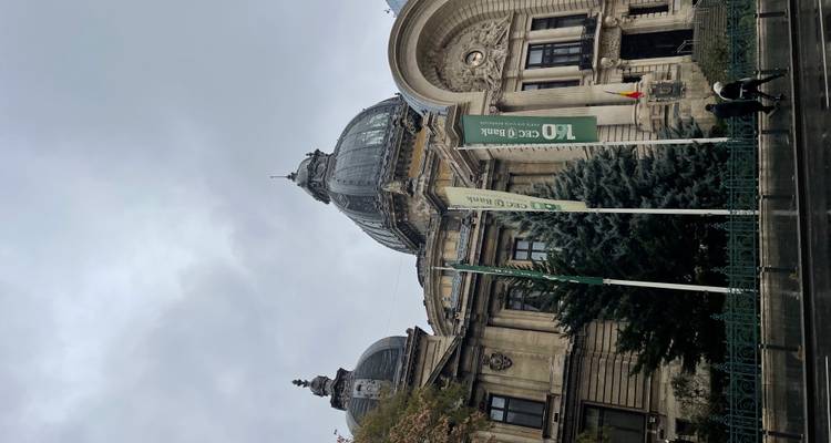 Dagtijdse weergave van CEC Palace met vlaggen en een grote groenblijvende boom eraan voor op een grijze dag