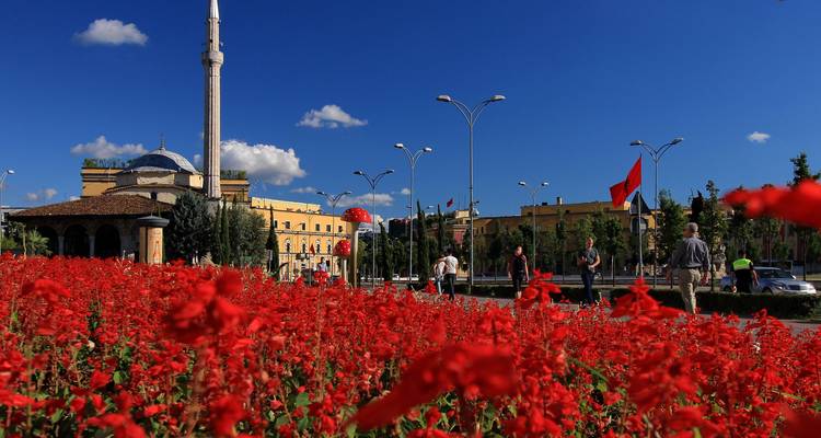 Levendige rode bloemenbak op de voorgrond met het silhouet van Tirana en nationale vlaggen op een zonnige dag
