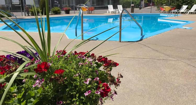 Piscine extérieure avec échelles métalliques entourée de fleurs et de chaises longues.