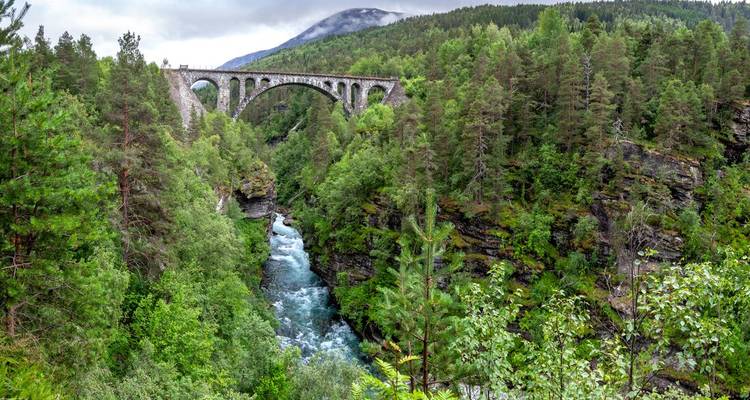 Un pont ferroviaire en pierre enjambe une gorge forestière profonde avec une rivière impétueuse en contrebas