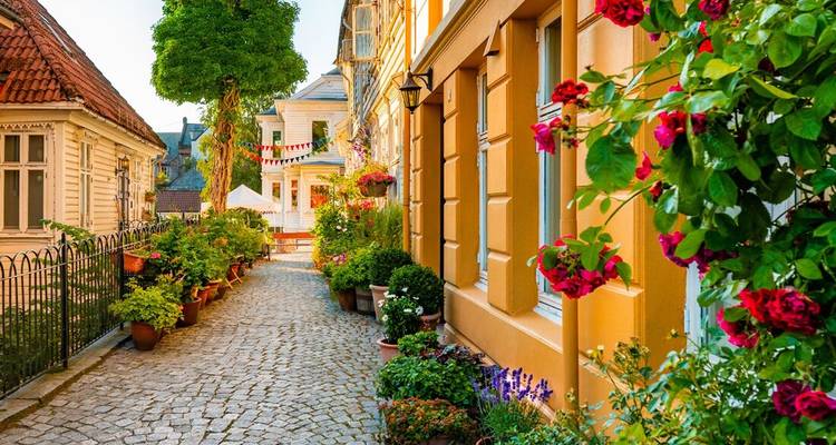 Ruelle pavée de charme à Bergen bordée de maisons en bois colorées et de fleurs en pot