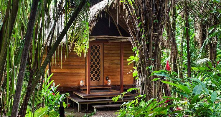 Houten jungle-bungalow omringd door weelderige tropische planten.