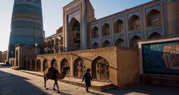 Un chameau et un jeune garçon solitaire passent devant les minarets aux carreaux bleus et les murs en arc de la vieille ville historique de Khiva au lever du soleil.