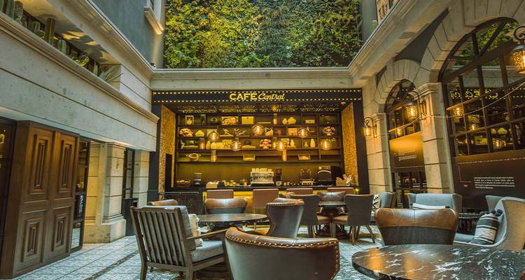 Chic indoor cafe with leather chairs and a living green wall behind a stylish bar counter