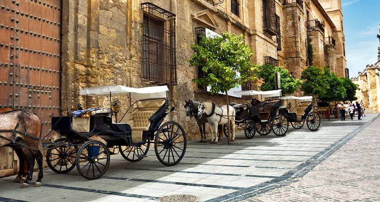 Rij met paardenkoetsen wacht naast een zonbeschenen stenen kathedraalvoorgevel in Andalusië