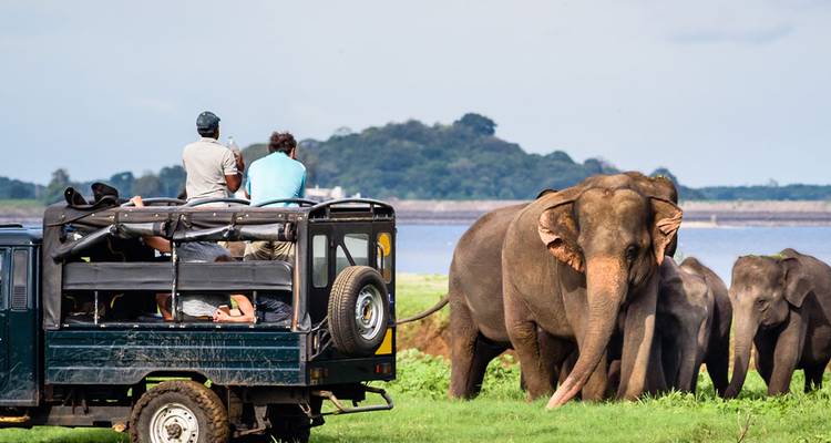 Open-top safari vehicle paused near a lake while travellers watch a herd of Asian elephants grazing.