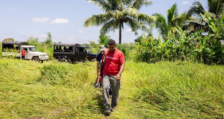 Guide walking through tall green grass toward parked jeeps under clear blue skies and palm trees.