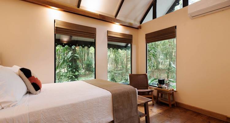 Cozy eco-lodge bedroom with forest views through large windows and wooden furnishings.