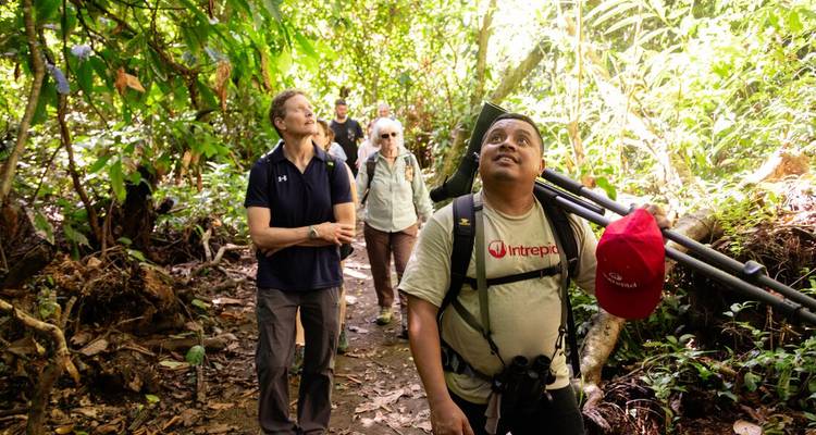 Small group hikes through dense rainforest with a naturalist guide carrying a tripod.