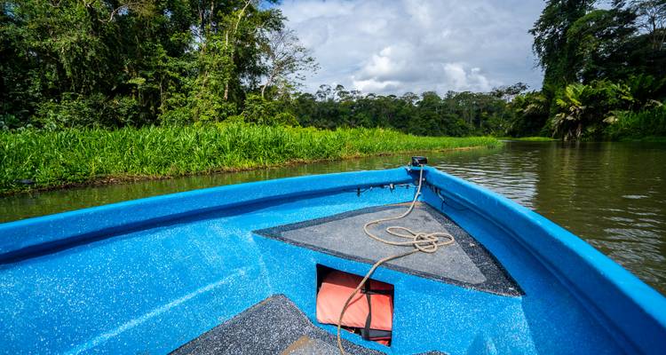La proa de un bote azul corta el agua de un río angosto de la jungla rodeado de una vegetación muy densa.