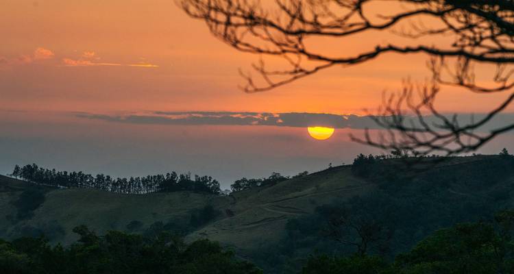 Una puesta de sol apagada sobre colinas ondulantes enmarcada por la silueta de ramas de árboles.