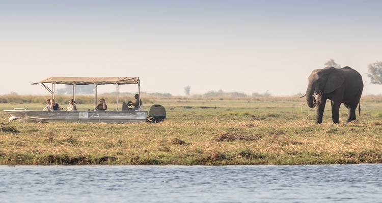 A small safari boat with tourists observes a lone elephant grazing on a grassy riverbank under clear skies.