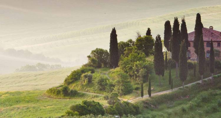 Flanc de colline toscane brumeux avec des cyprès et une ferme rustique à l'aube.