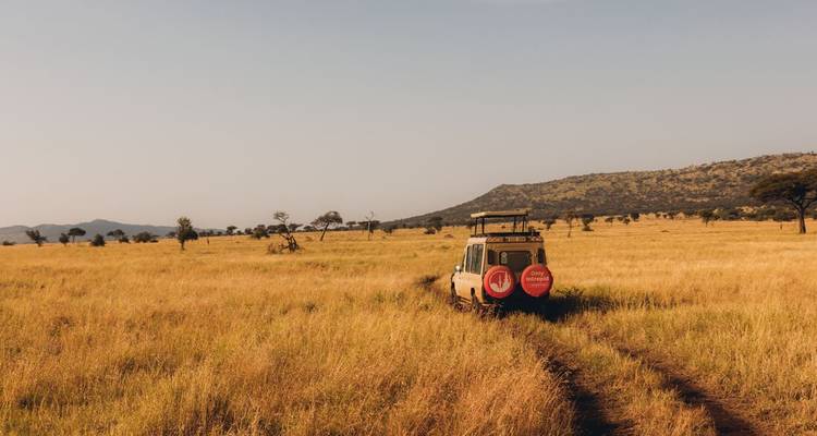 Safari jeep with Intrepid logo drives along a lone track through golden grass plains at dusk.