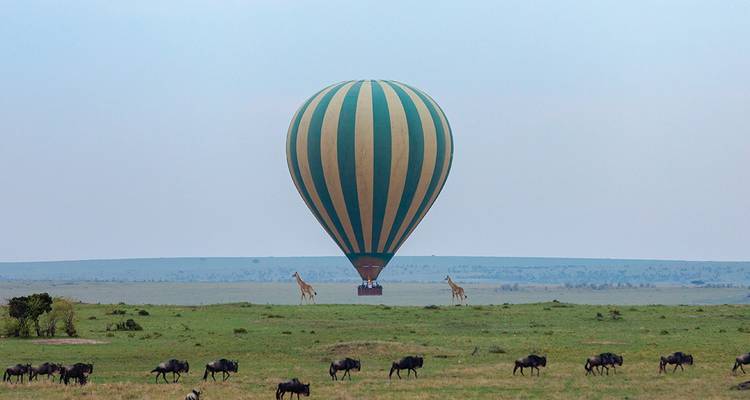 Striped hot-air balloon floats above wide grasslands dotted with giraffes and wildebeest.