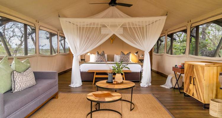 Intérieur élégant de tente de style safari avec lit à baldaquin, mobilier moderne et lumière naturelle.