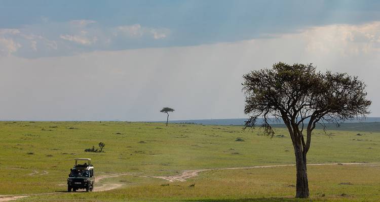 Jeep de safari traversant une vaste plaine herbue avec des acacias épars sous un ciel voilé.