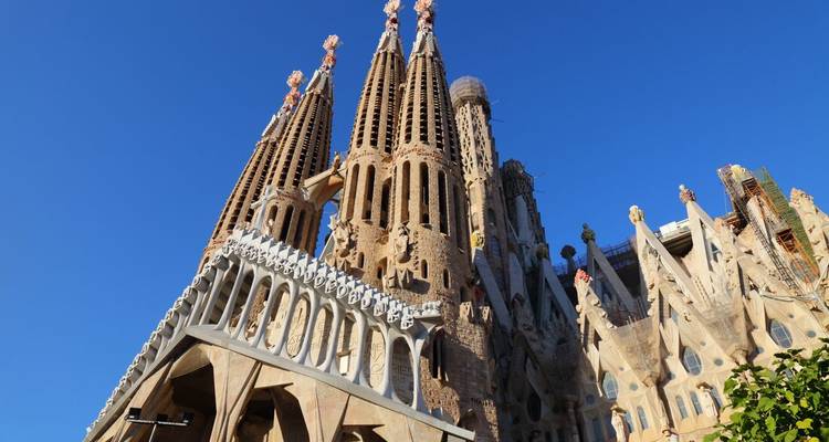 Vue ascendante des flèches élancées de la Sagrada Família perçant un ciel bleu sans nuages.