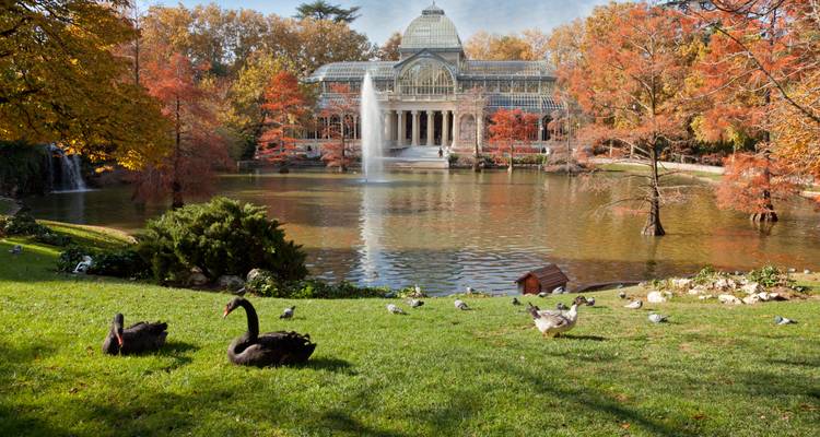 El follaje otoñal rodea el Palacio de Cristal de paredes de vidrio y una fuente alta que da vista a un tranquilo lago con cisnes.