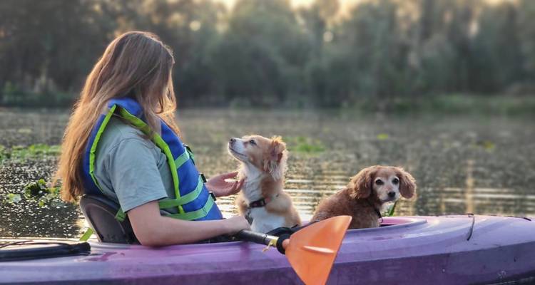 Une jeune femme pagaie dans un kayak violet avec deux chiens attentifs sur un zone humide tranquille.