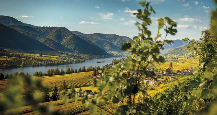 Wingerdbegroeid hellingen omlijsten het Wachau-dal met kerktoren en Donau eronder.