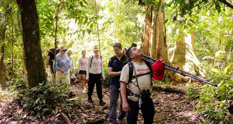 Guided group with binoculars and tripods explores a rainforest trail.