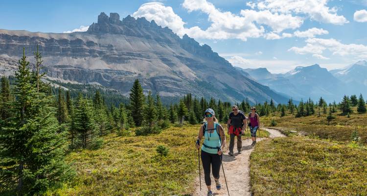 Les randonneurs munis de bâtons de trekking suivent un sentier de montagne à travers des prairies subalpines avec des pics rocheux s'élevant majestueusement au-dessus.