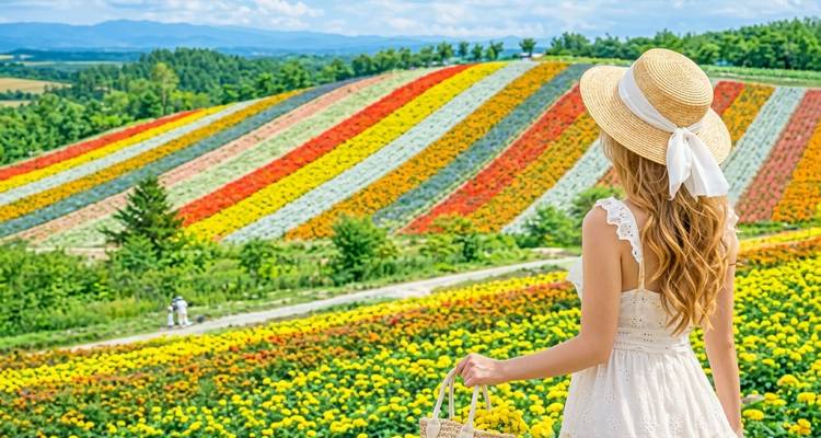 Frau im Sommerkleid blickt auf ausgedehnte gestreifte Blumenfelder, die sich über sanfte Hügel erstrecken.